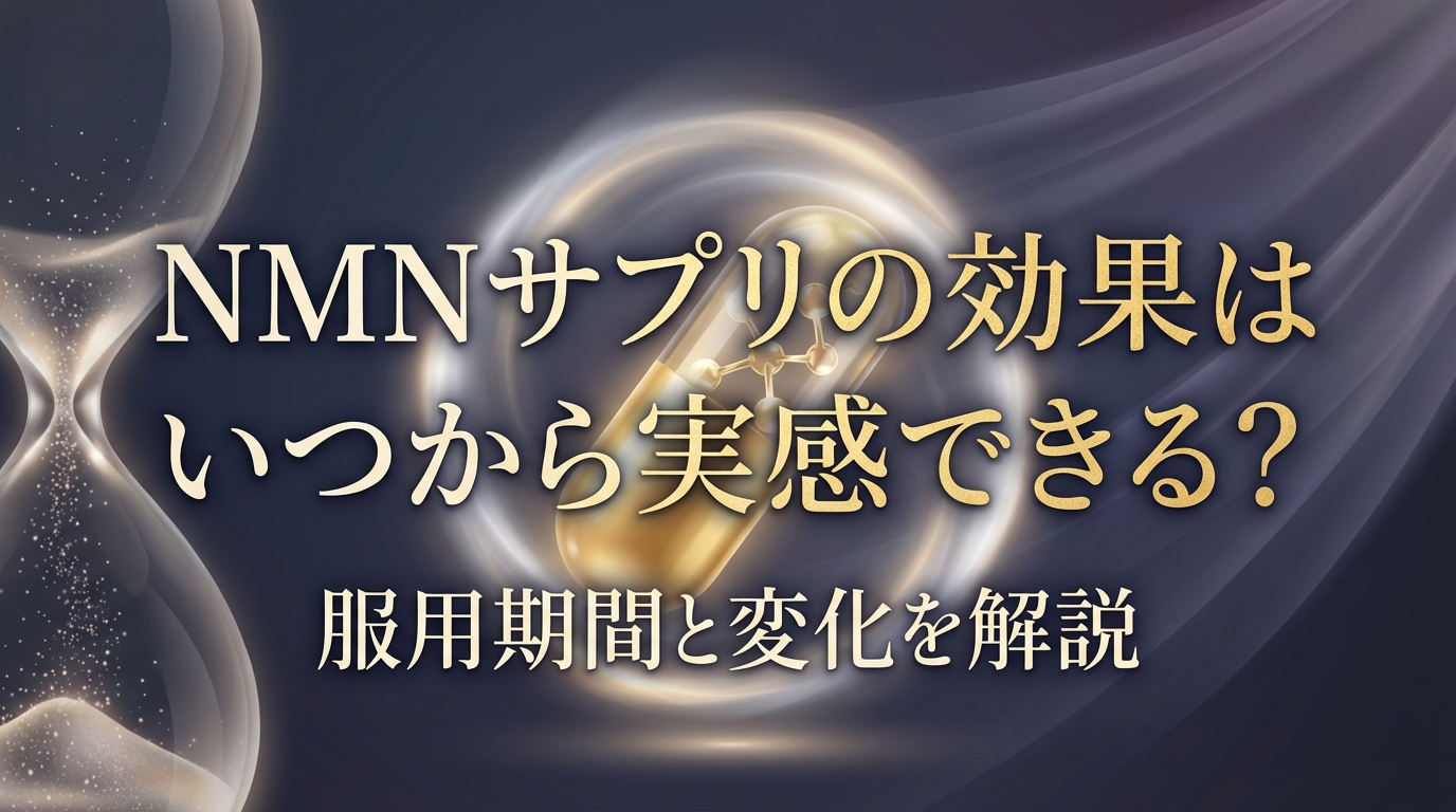 NMNサプリの効果はいつから実感できる？服用期間と変化を解説